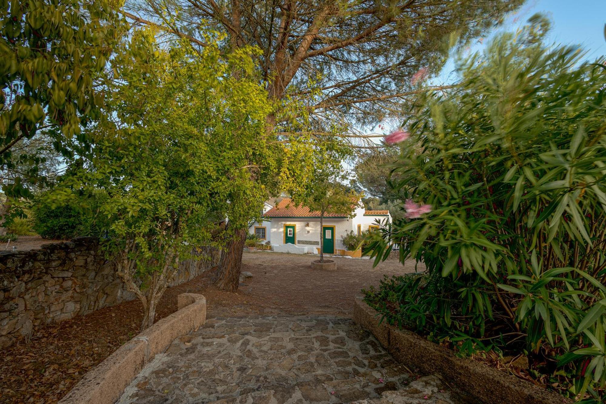 فيلا Casa Do Vale Sao Pedro de Tomar المظهر الخارجي الصورة