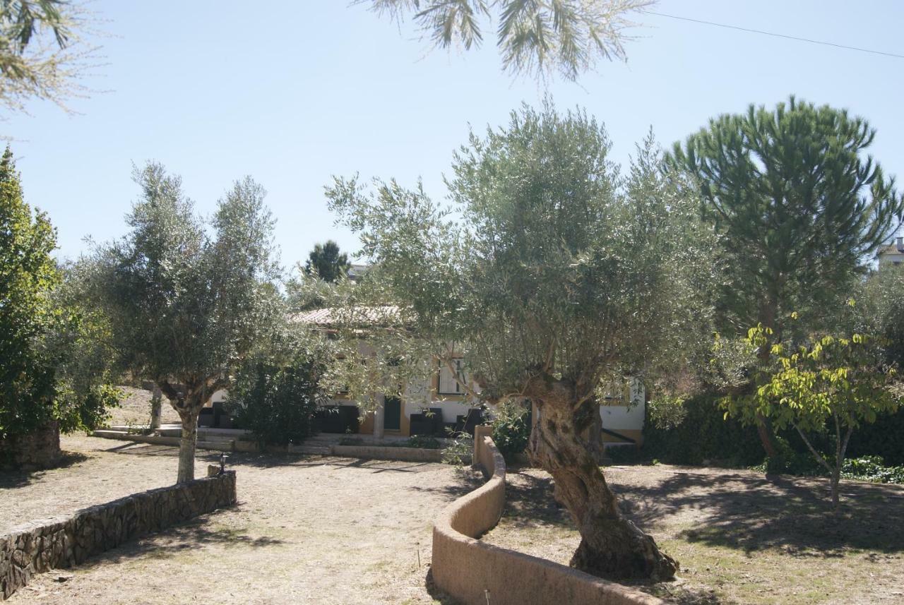 فيلا Casa Do Vale Sao Pedro de Tomar المظهر الخارجي الصورة