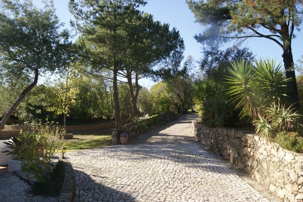 فيلا Casa Do Vale Sao Pedro de Tomar المظهر الخارجي الصورة